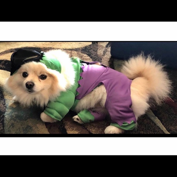 NEW Pet Shop Incredible Hulk Pet Costume - Picture 2 of 2